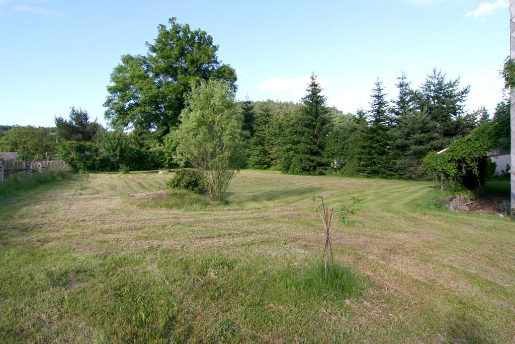 Penzion Muflon Bela nad Radbuzou Exterior photo